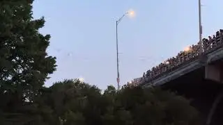 Mexican Free Tailed Bats flying out of Congress Avenue bridge in Austin Texas