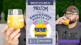 Prison Pals Brewing Co | Smoothie Series #1 | Smoothie Style Sour Ale | Craft Beer Review