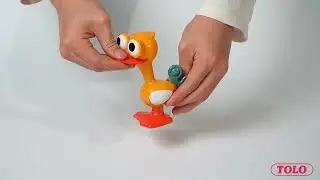 Tolo Toys Crazy Eyed Bird