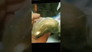 los muerto presidente