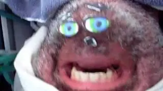 im a vampire..no, no im a werewolf!