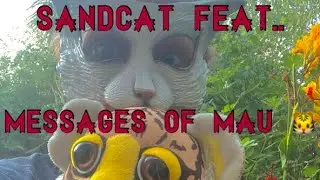 Messages from Mau live feat.. Sandcat #Bigcat 🐯 #catsong #liveloop Ist attempt today part cat gear