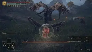 Sacrificial Axe Location | Deathbird (Weeping Peninsula) | Elden Ring