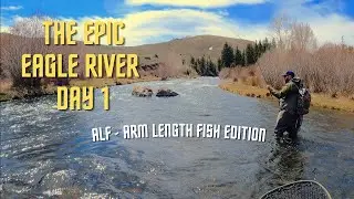 The Epic Eagle River - Day 1 (Colorado Fly Fishing)