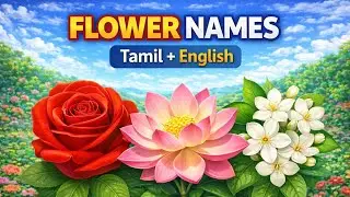 Flower Names in Tamil 🌸 | தமிழில் மலர் பெயர்கள் | Learn Flowers for Kids