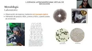uía fotográfica de macrohongos amazónicos | Club Estudiantil de Biología