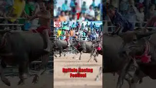 Top 10 Festivals and Events in Thailand 2025