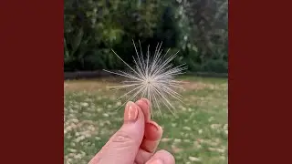 Growing Wild