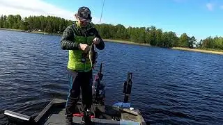 Fiske V&auml;ringen