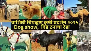 वाशिष्ठी चिपळूण कृषी प्रदर्शन २०२५ ,डाॅग शो,तब्बल दिड टनाचा रेडा,घोडे,उंट |dog show|