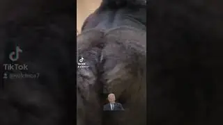 Screaming Liberal