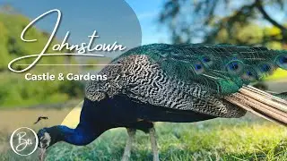 FULL GARDEN WALK | JOHNSTOWN CASTLE & GARDENS | IRELAND | WEXFORD | 4K