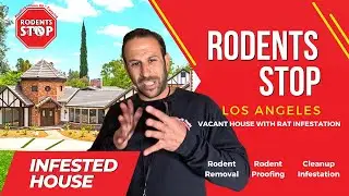Rodent Infestation in Multi Million Dollar Home - Rodents Stop
