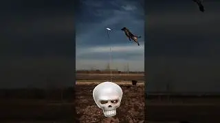 🌍World&rsquo;s best animal jump💀#shorts