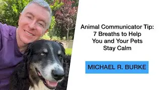 Animal Communication Tip: Seven Deep Breaths to Help You & Your Pets Stay Calm