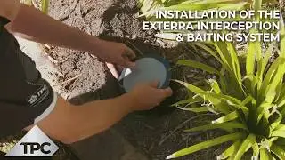The Pest Company | Exterra Interception & Baiting System Installation
