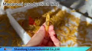 Pasta Production Line: High-Efficiency Forming Solution WhatsAppWeChat:+8618906444280