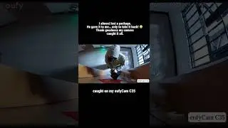 #securitycamera #homesecurity  #cctv #cctvcamera  #securitycamera #safety #shorts #foryou #children