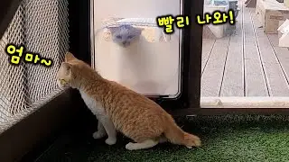 힘든 시간을 보내며 내일을 기다립니다