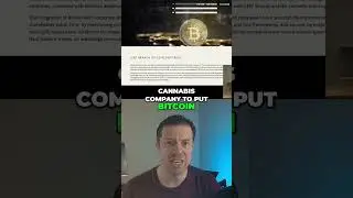 Shocking Move! 🌿💰 Cannabis Company Embraces Bitcoin! 🚀