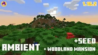 Ambient music / Dark Forest biome / Minecraft 1.16.2 + Woodland Mansion + Seed
