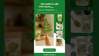 Moringa Powder #trending #shortsfeed #moringa #organiclifestyle #naturalsupplements