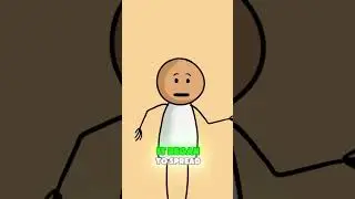 The SHOCKING Connection Between The Seed and the Stone
