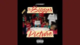 The Bigger Picture (Radio Edit)