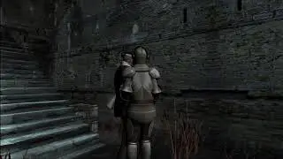 Resident Evil 4 PS2 Professional Difficulty Playthrough Part 2