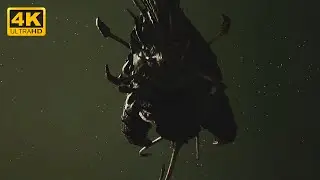 Tyranids - 2v2, Massive Battle - 4K Quality - Battlefleet Gothic Armada 2