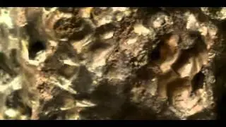 Largest meteorite ever discovered in Poland