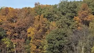 В поисках осенних красок на Среднем Западе