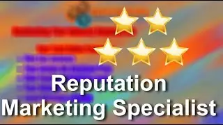 Reputation Marketing Specialist Ormeau Perfect 5 Star Review by zelko f.