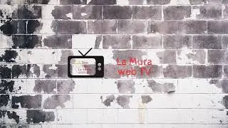 Live streaming di Liceo 