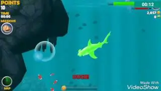 Novi  komenteri video