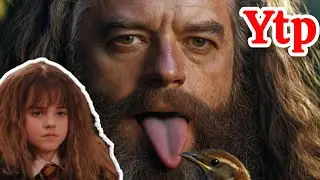 YTP ITA - Hagrid è un leccatore di passere - Harry Potter e la camera dei segati 
