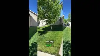 Swipe to see Meridian Curbing's