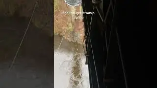 This Girl Didn't Expect That...