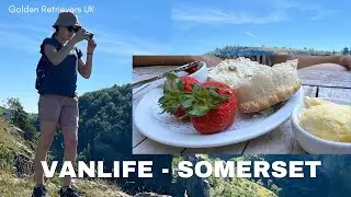 VANLIFE CHEDDAR, SOMERSET