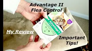 Advantage II для крупных кошек &mdash; мой честный отзыв + советы!