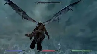 Flight and Fight experience