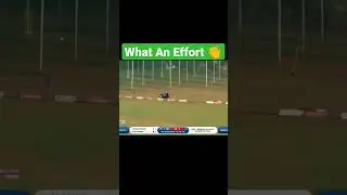 #shorts  Best Fileding Effort #youtubeshorts #ytshorts #tennisballcricket