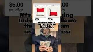 A Guy Bought All the Indian Pillows&hellip; Then Sold Them as Polish Ones?!#memes #funny #viralvideo