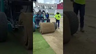 Natural Grass in Cricket stadium.