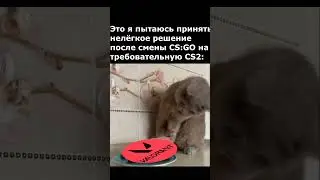 Мои Приколы №153 - Valorant вместо CS2? #videomeme #видеомем