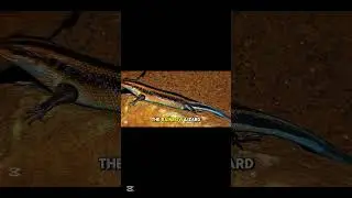 5 Most Fascinating Animals You Won&rsquo;t Believe Exist!