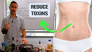 Toxic Overload? The Hidden Reason You Can&rsquo;t Lose Weight (And What To Do About It)