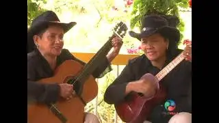la zenaida las violetas de Risaralda