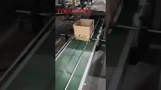 Full Automatic Packaging Line/15kg Hardware Packing into Cartons