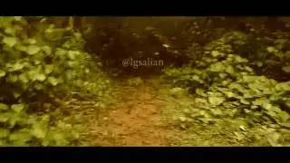 onake abbi falls agumbe karnataka